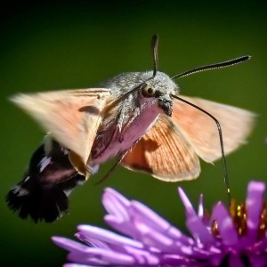 rajce-photo-1691973296 (1)